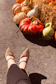 I am in love with these shoes. Cute for fall. :) - Lauren H.