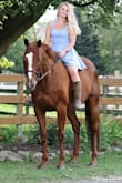 I bought this dress for a wedding and last minute changed my mind. I instead used this dress to get professional portraits with my horse. I didn't realize how short the dress was until the wind blew or when I looked at some pictures of me walking... oops. Well, I still liked it! Not sure I'd wear it again if there's any wind involved though. - Amanda F.