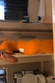 Orange is my favorite color. I'm obsessed and I had been eyeing it for a long time. Something about it didn't flatter me, and normally orange looks great with my skin tone. I'm not sure what it was, but it seemed to accentuate my cellulite somehow? 
It does fit, and I'm glad I saw it on myself. Maybe I'll feel better about wearing this when I lose a little weight. - Tiana H.