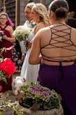 My daughters were my bridesmaids and they looked AMAZING in their dresses. We all wore Lulus dresses for our perfect back yard wedding on 10/10/2020! The back of the strappy Purple was stunning. - Amalia G.