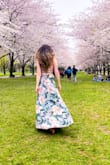 I love this dress. It fits so well, the fabric is very pretty. - Lussine O.