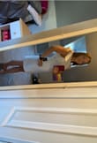 Love love love this look for my rehearsal dinner dress! Very elegant - Caitlin R.