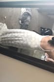 I ordered another dress & it was not flattering & did nothing for me. This dress is beautiful, comfortable & the fit was perfect. I have to take it up a little but will keep the train. - Diane G.