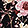 Change selection to Black and Pink Floral Print