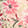 Current selection: Pink Floral Print