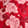 Current selection: Red Floral