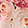 Current selection: Blush Multi Floral