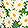Current selection: Green Floral Print