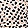 Current selection: Black and Tan Dot Print