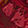 Current selection: Burgundy Floral Print