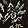 Current selection: Black Floral