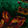 Current selection: Dark Green