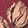 Current selection: Maroon Floral