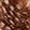 Current selection: Brown