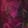 Current selection: Purple Floral