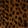 Current selection: Brown Leopard