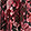 Current selection: Plum Floral