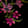 Current selection: Black Floral