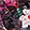 Current selection: Pink