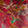 Current selection: Red