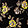 Current selection: Black