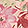 Watch Me Grow Pink Floral Print Cold-Shoulder High-Low Dress