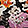 Current selection: Black Floral