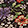 Current selection: Brown Floral Print