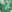 Green Print